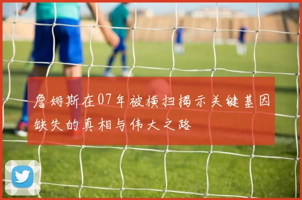 詹姆斯在07年被横扫揭示关键基因缺失的真相与伟大之路